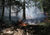 « Il cherchait du travail » : arrestation d’un pompier qui a avoué avoir incendié la forêt royale en France