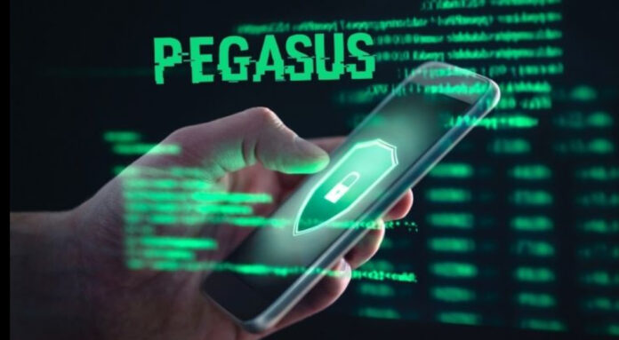 Pegasus