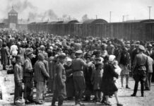 Quelle empreinte la Shoah laisse-t-elle sur les enfants de survivants ? Une étude israélienne apporte un nouvel éclairage