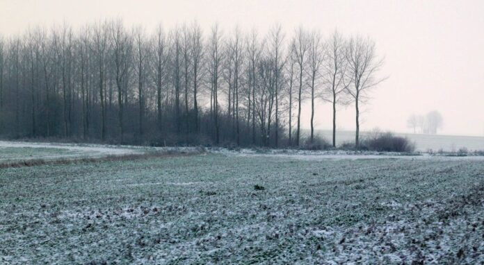 gel-neige-meteo