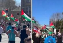Chasse aux Juifs à Sydney
