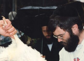 Le rabbi de Kalov, par. Ki Tétsé : veiller à consommer une bonne cacherouth