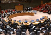 Course au poste de secrétaire général de l’ONU: une nouvelle candidate se déclare