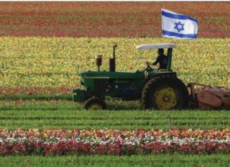 Israël dévoile sa stratégie alimentaire à l’horizon 2050