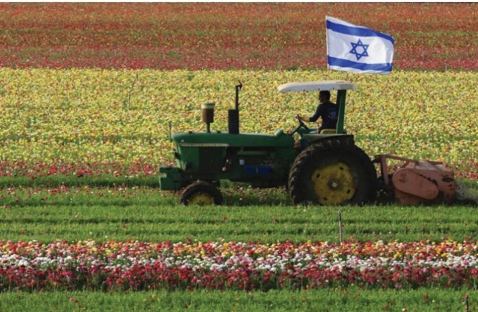 צילום מסך 2026-09-08 083559