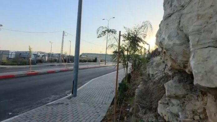 צילום-מסך-2026-10-23-084921-768x434